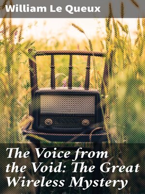 cover image of The Voice from the Void